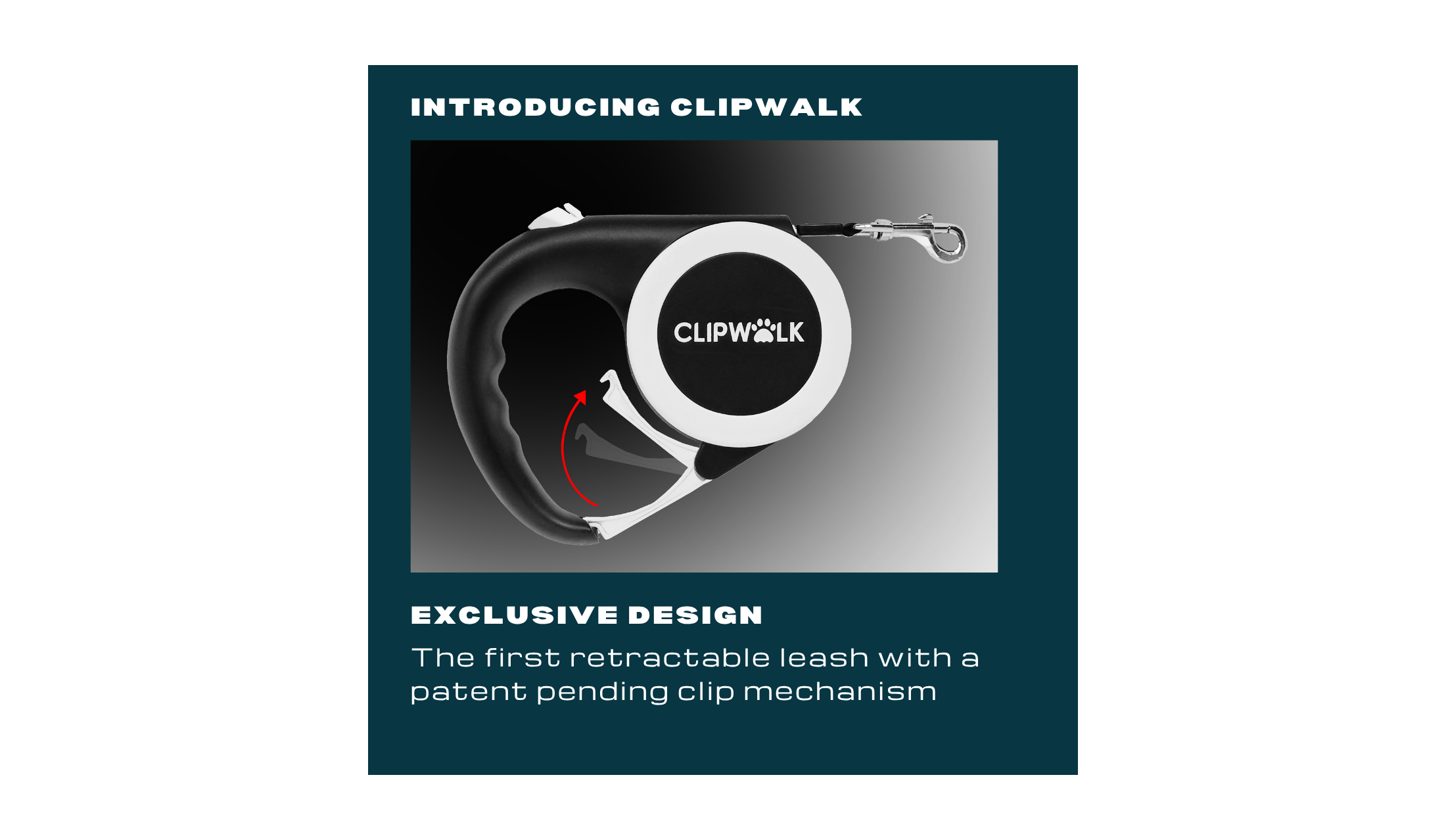 ClipWalk leash exclusive design