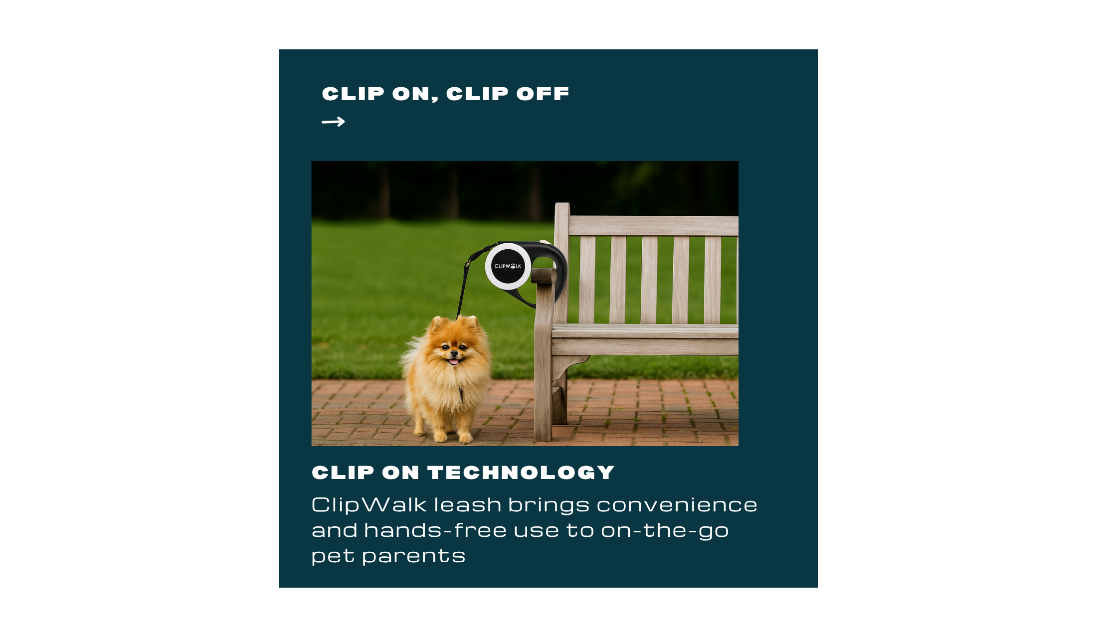 ClipWalk leash easy clip feature clipped on a park bench