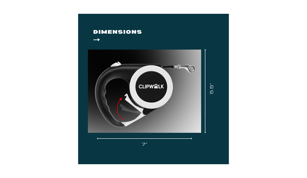 ClipWalk leash dimensions