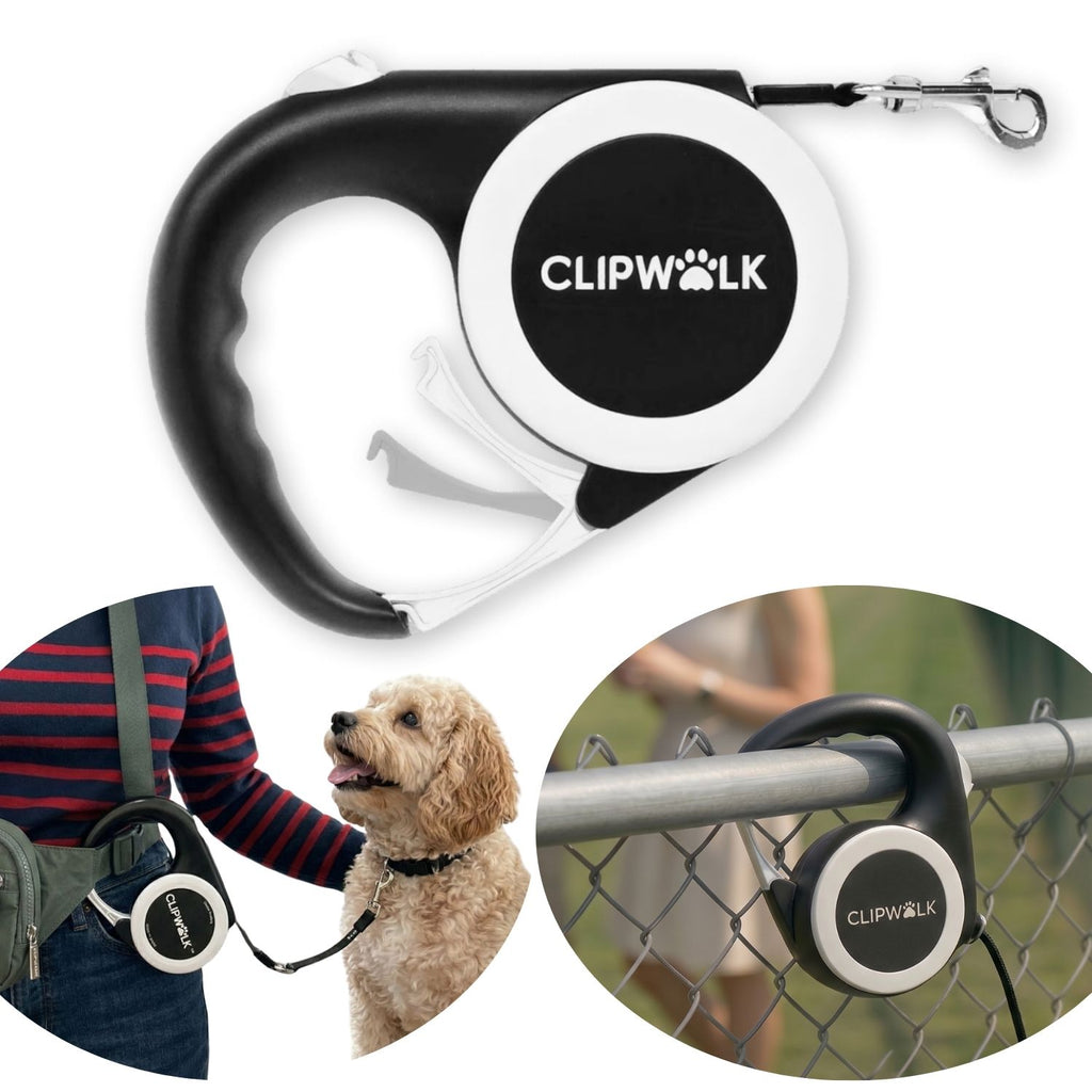 ClipWalk™ – Carabiner-Handle Retractable Hands-Free Dog Leash